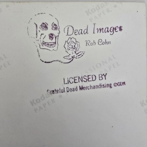 Grateful Dead Licensed Photo Print By Rob Cohn Bassist Phil Lesh Glossy Kodak Pa - Picture 2 of 12